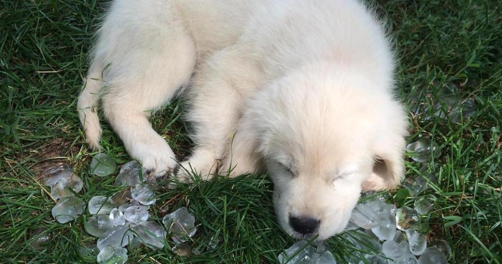 The Lazy Song (AKA:&nbsp;Sundaze)