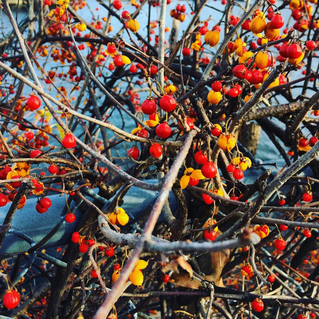 It Doesn’t Feel Like&nbsp;Monday