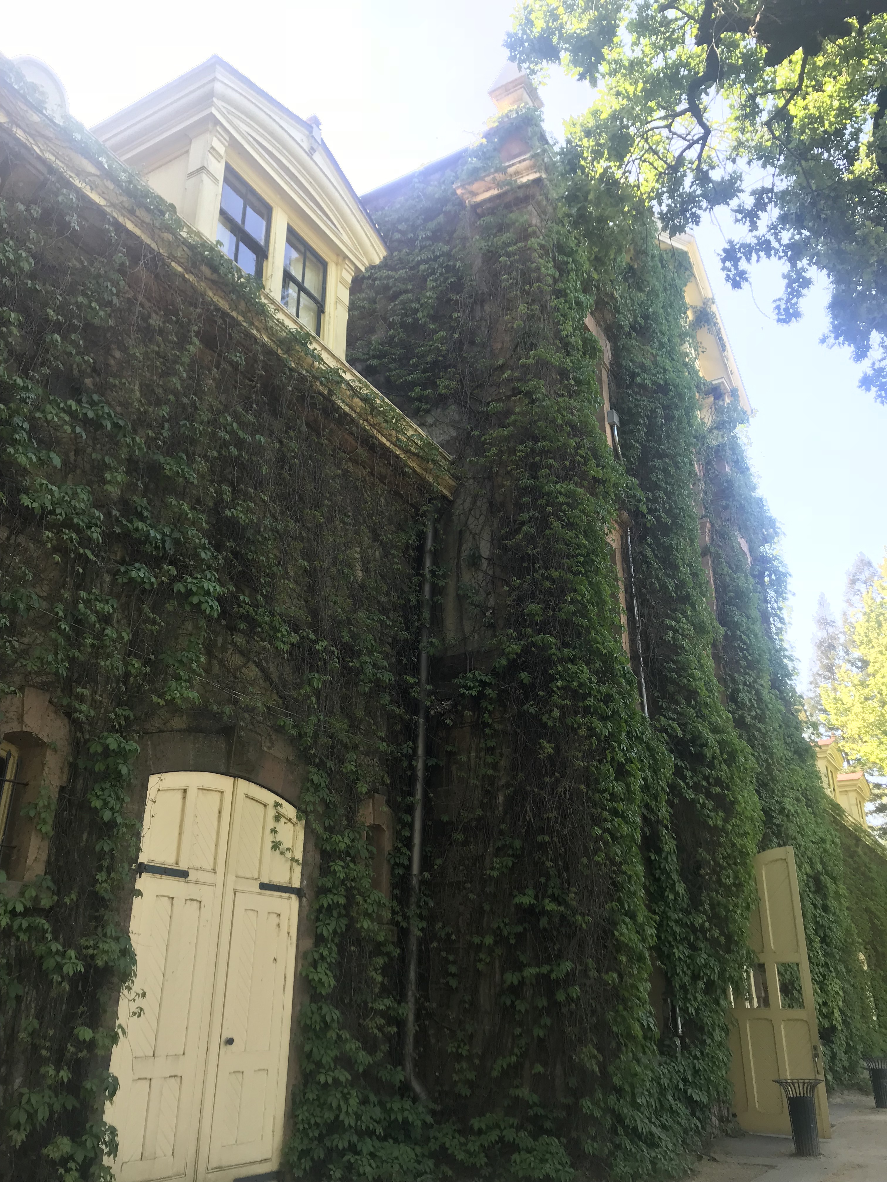 2YhS+KfcTRiaDENQqvDWLA