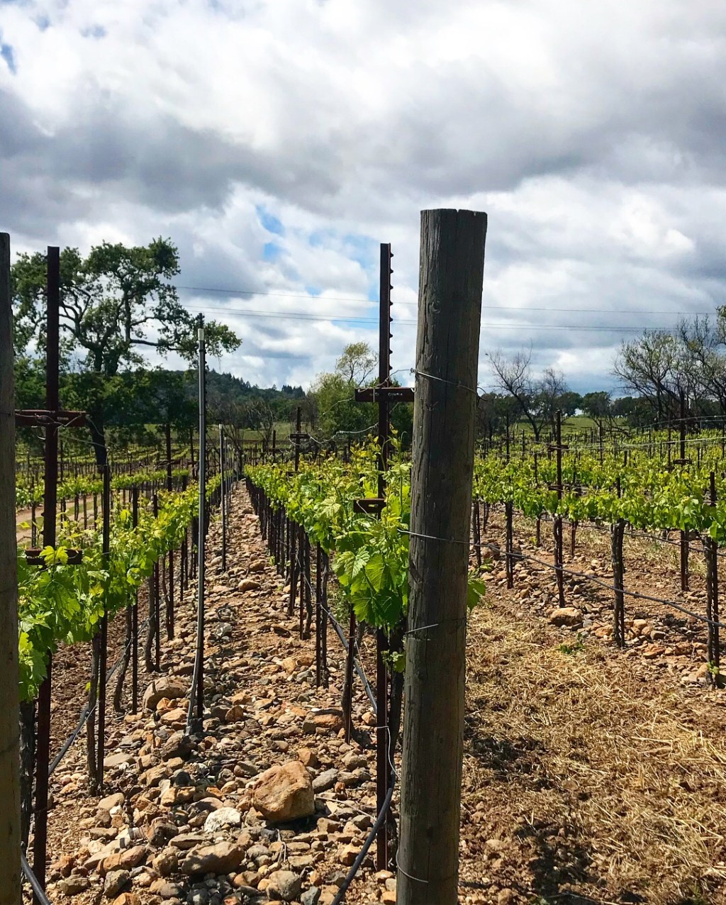 Our first two days in wine country