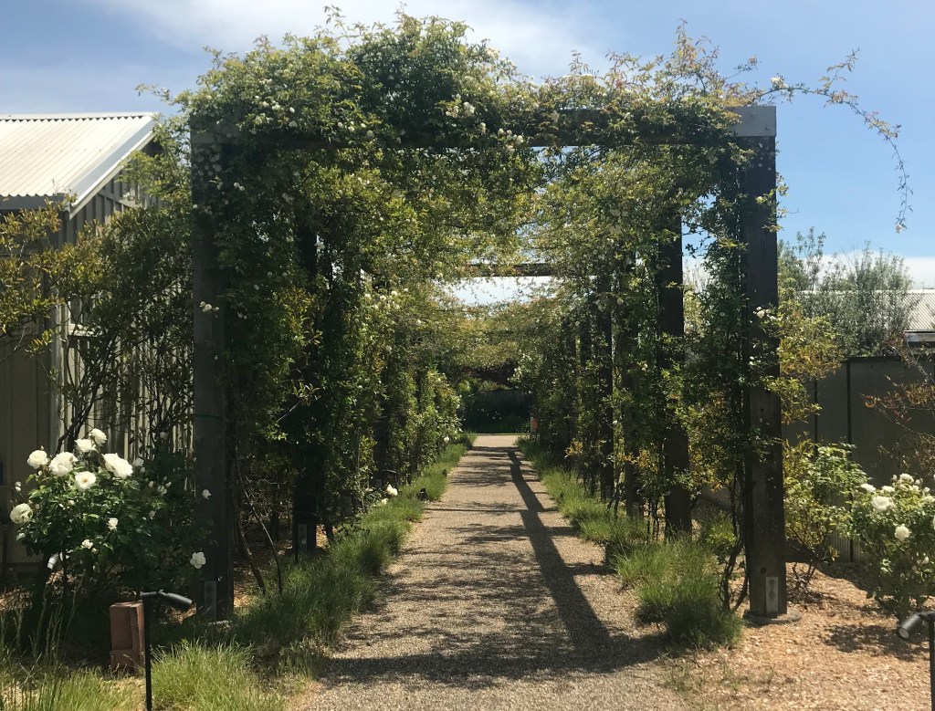 Day 3 in Wine Country: It’s drinking time